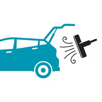 Poils d'animaux Coffre